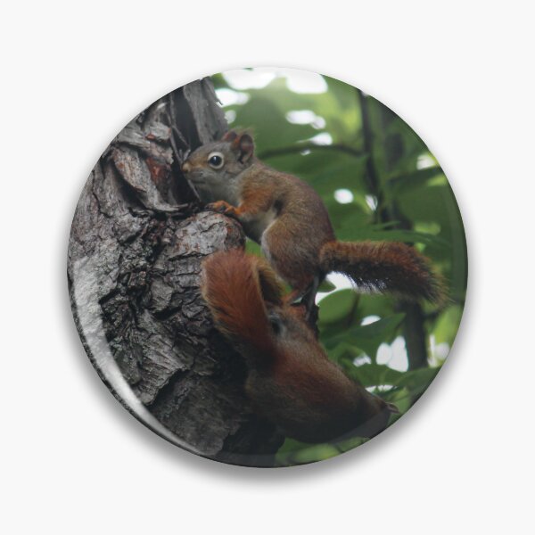 Item preview, Red Squirrels designed and sold by OneCreativePup.