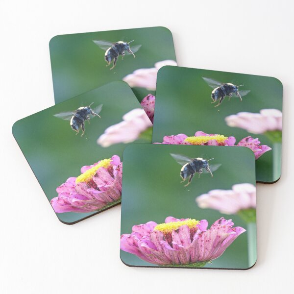 Item preview, Flight of the Bumblebee designed and sold by Frankie Cat Photography.