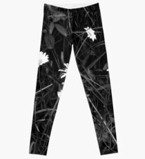 Process of Decay Leggings