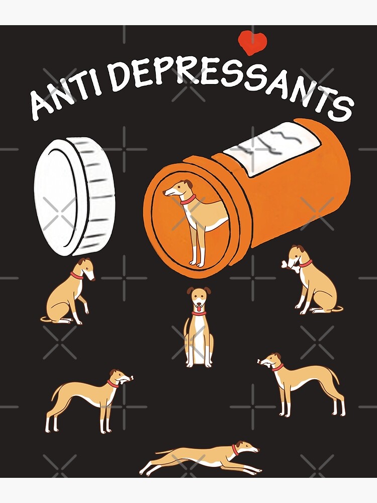 Dog fashion antidepressants