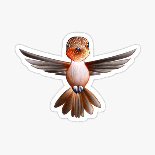 Rufous Hummingbird Version 002 Sticker