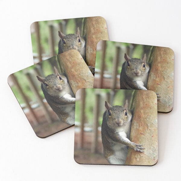 Item preview, Cute Squirrel #0011 designed and sold by Jeffrey Mask.