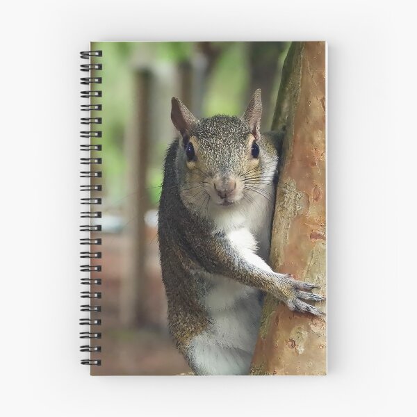 Item preview, Cute Squirrel #0011 designed and sold by Jeffrey Mask.