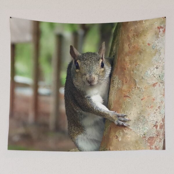 Item preview, Cute Squirrel #0011 designed and sold by Jeffrey Mask.
