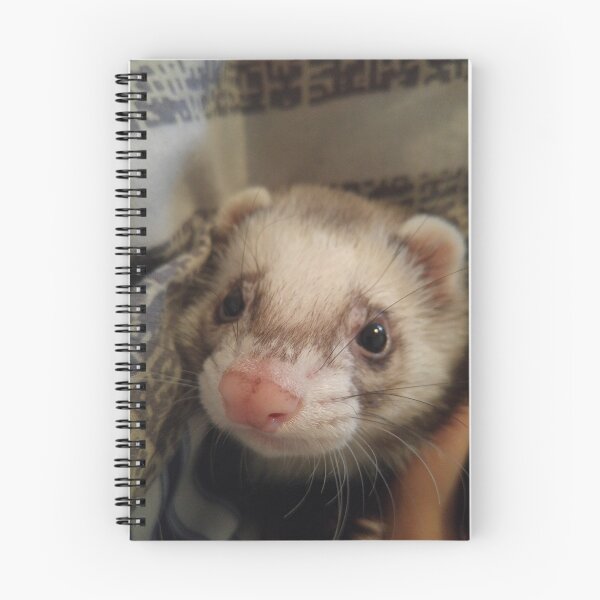 Item preview, hello ferret designed and sold by ArkelAngel.