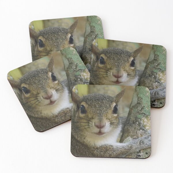 Item preview, Cute Squirrel #0012 designed and sold by Jeffrey Mask.