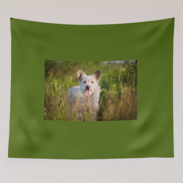 Item preview, Single white stray tyke dog  designed and sold by Arletta Cwalina.