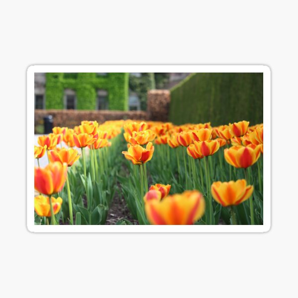 spring chorus Sticker