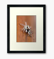 I only have eyes for you Framed Print