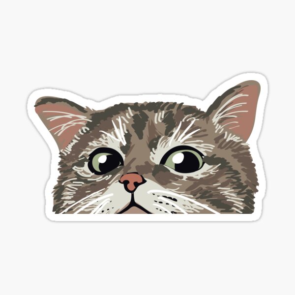 Spähende Katze Sticker