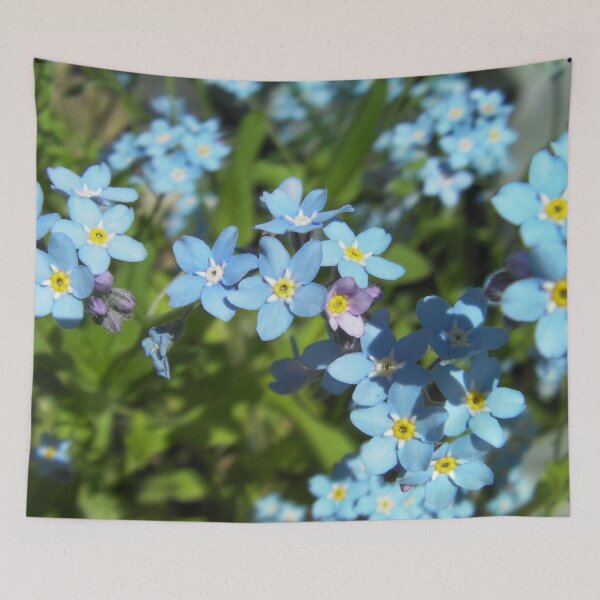 Item preview, Forget Me Not designed and sold by Trikucian.