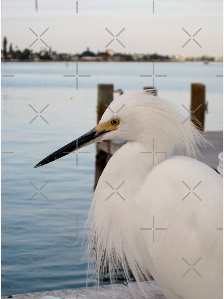Dockside by debfaraday