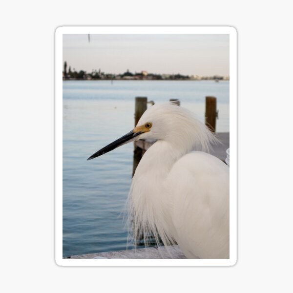 Dockside Sticker