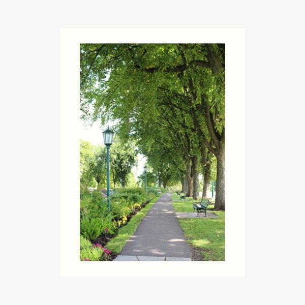 Summer walk Art Print