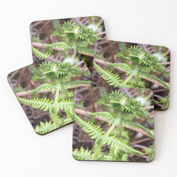 Item preview, fern designed and sold by KathleenDawson.