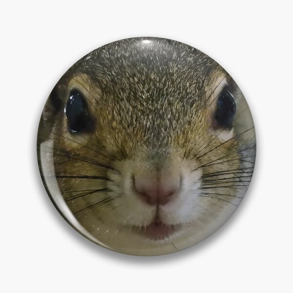 Item preview, Cute Squirrel #0012 designed and sold by Jeffrey Mask.