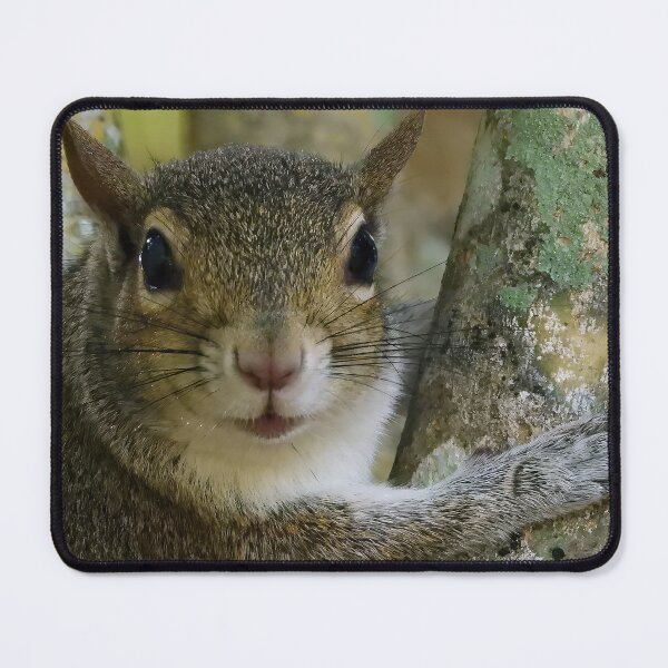 Item preview, Cute Squirrel #0012 designed and sold by Jeffrey Mask.