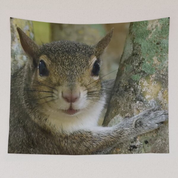 Item preview, Cute Squirrel #0012 designed and sold by Jeffrey Mask.