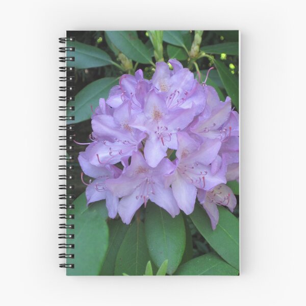 Item preview, Rhodo designed and sold by debfaraday.