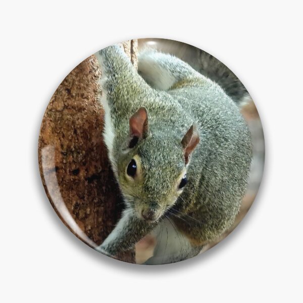 Item preview, Cute Squirrel #0013 designed and sold by Jeffrey Mask.