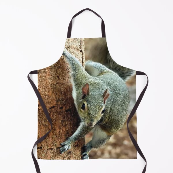 Item preview, Cute Squirrel #0013 designed and sold by Jeffrey Mask.
