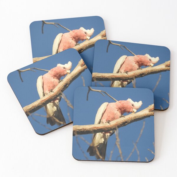 Item preview, Pink Galah designed and sold by indiafrankk.