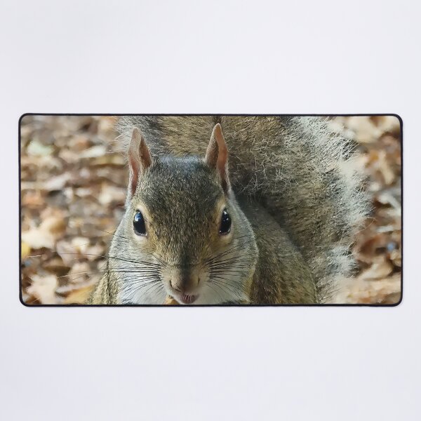 Item preview, Cute Squirrel #0014 designed and sold by Jeffrey Mask.