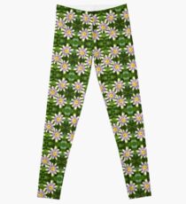 Passion Flower Leggings
