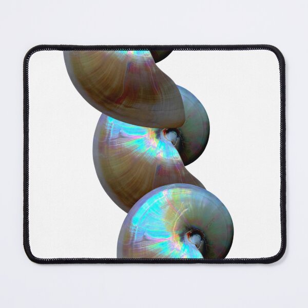Item preview, Nautilus Shell designed and sold by boomantique.