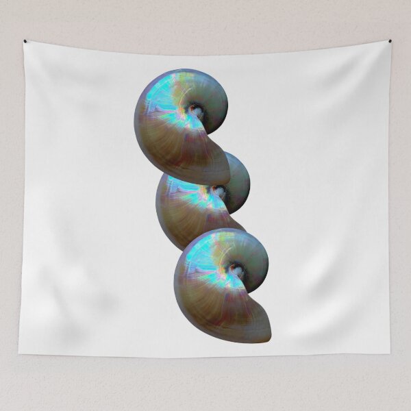 Item preview, Nautilus Shell designed and sold by boomantique.