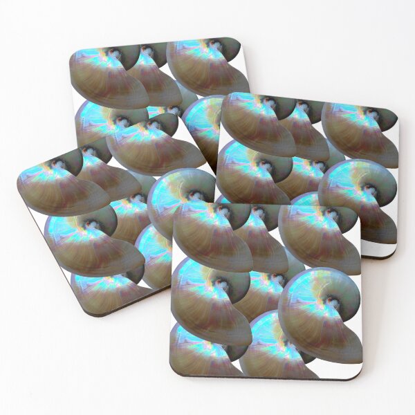 Item preview, Nautilus Shells designed and sold by boomantique.