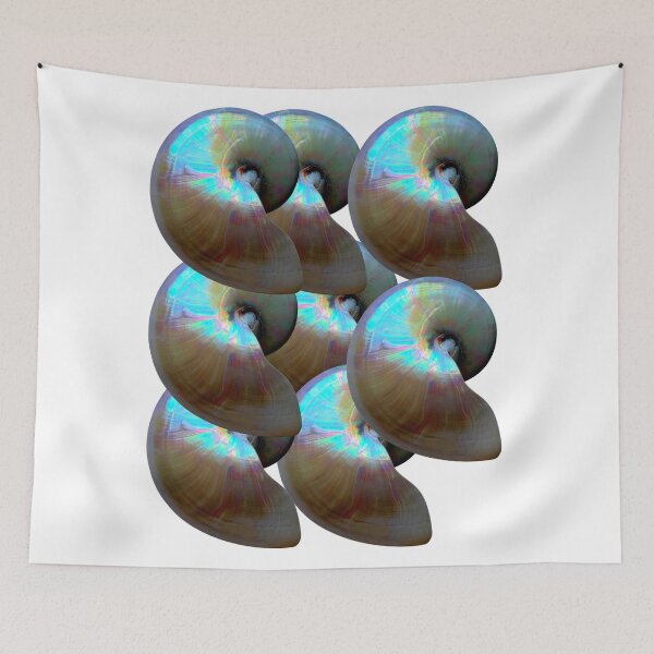 Item preview, Nautilus Shells designed and sold by boomantique.