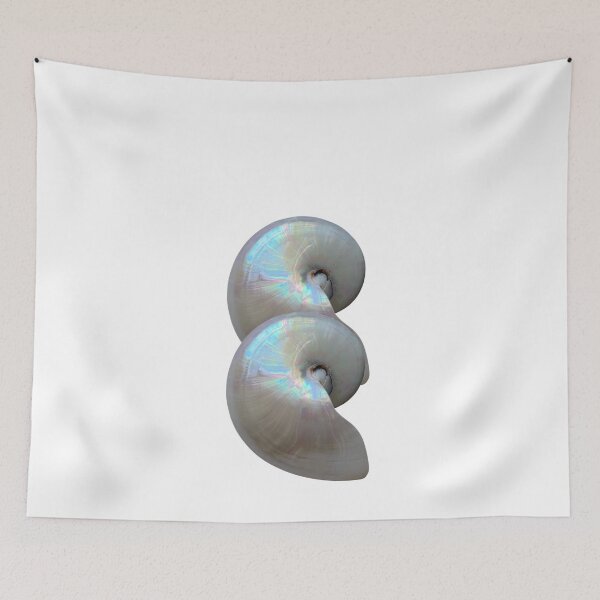 Item preview, Nautilus Shells designed and sold by boomantique.