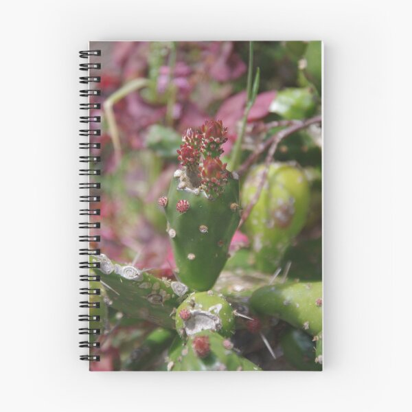 Item preview, Flowering Cactus designed and sold by lezvee.