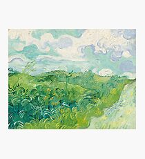 Vincent van Gogh Green Wheat Fields, Auvers 1890 Painting Photographic Print