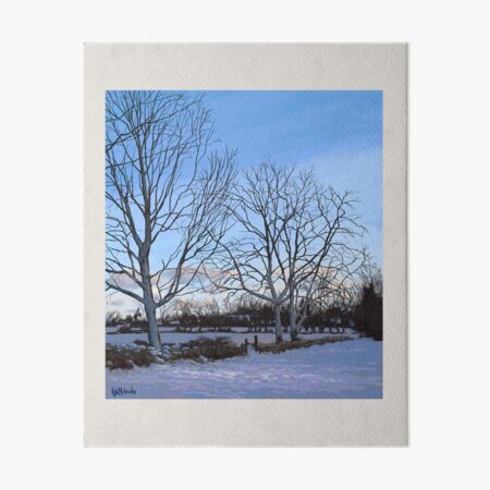 Winter Trees Art Board Print