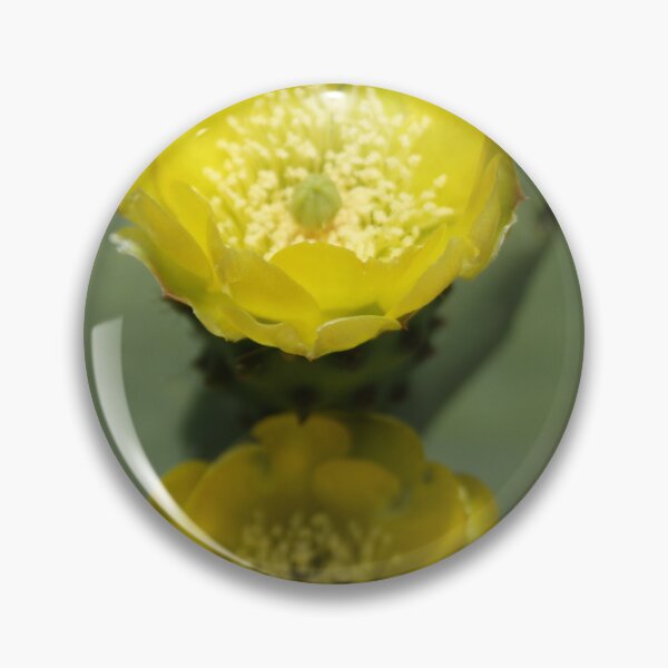 Item preview, A Pair of Yellow Prickly Pear Flowers designed and sold by taiche.
