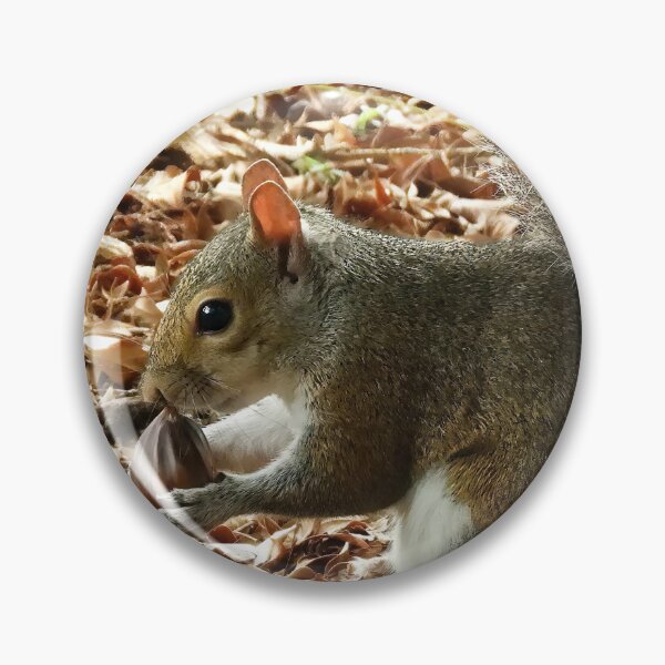 Item preview, Cute Squirrel #0017 designed and sold by Jeffrey Mask.
