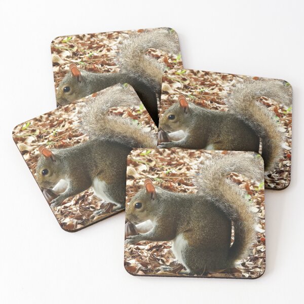 Item preview, Cute Squirrel #0017 designed and sold by Jeffrey Mask.