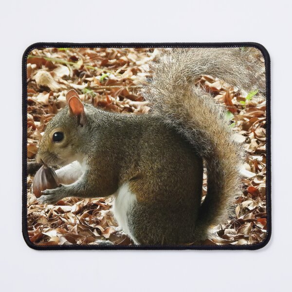 Item preview, Cute Squirrel #0017 designed and sold by Jeffrey Mask.
