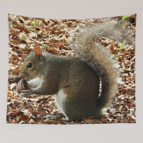 Item preview, Cute Squirrel #0017 designed and sold by Jeffrey Mask.
