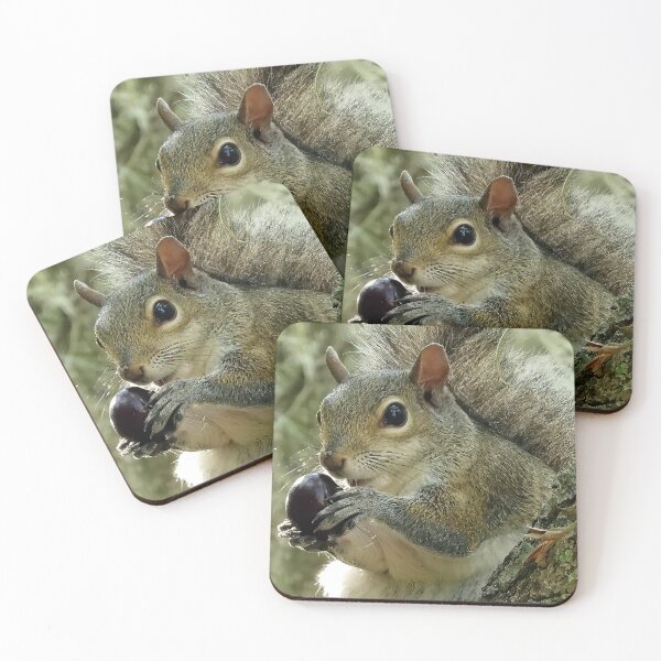 Item preview, Cute Squirrel #0018 designed and sold by Jeffrey Mask.