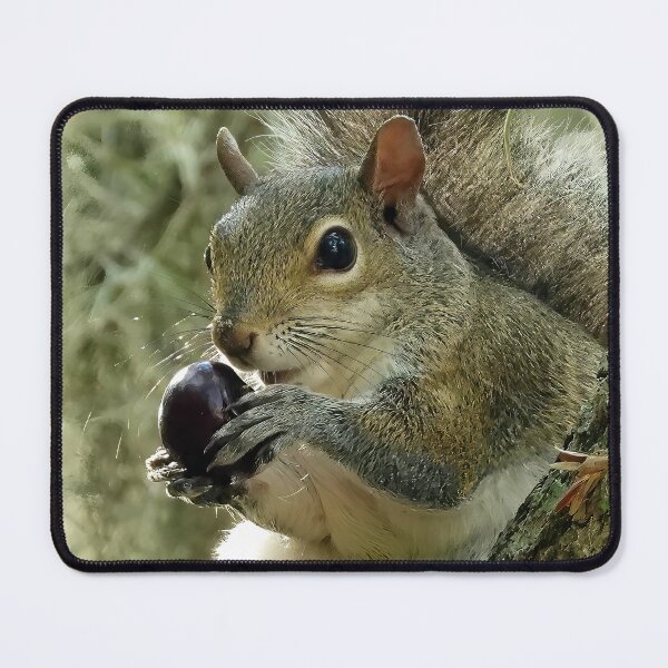 Item preview, Cute Squirrel #0018 designed and sold by Jeffrey Mask.