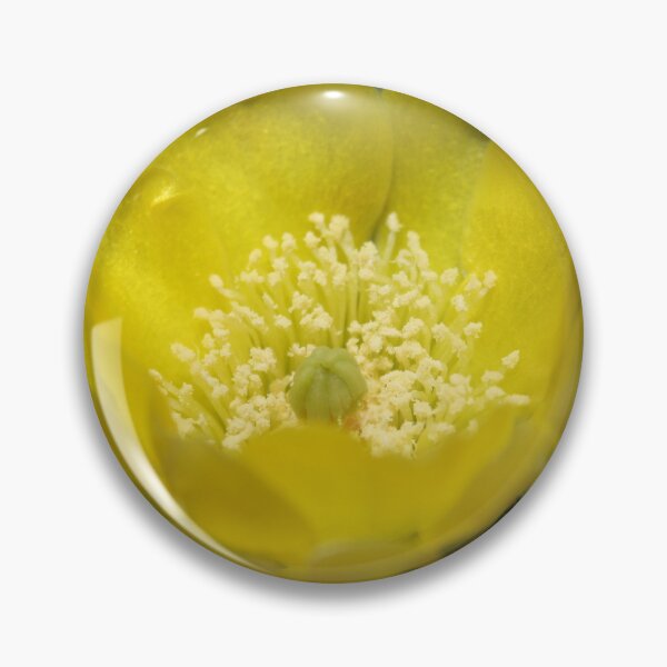 Item preview, Yellow Cactus Pear Flower Close Up Photography designed and sold by taiche.