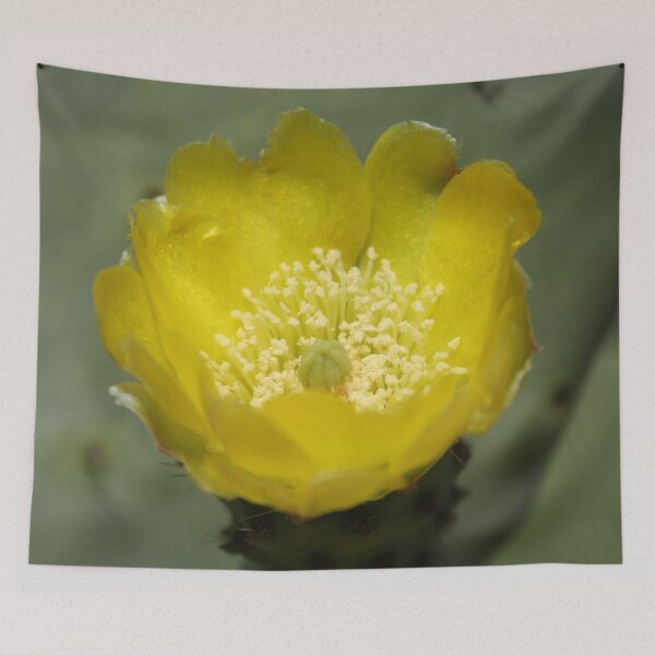 Item preview, Yellow Cactus Pear Flower Close Up Photography designed and sold by taiche.