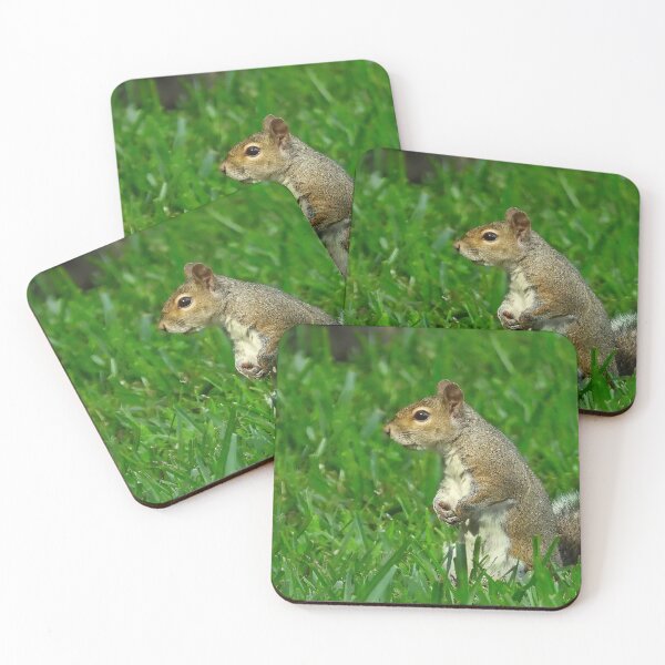 Item preview, Cute Squirrel #0019 designed and sold by Jeffrey Mask.