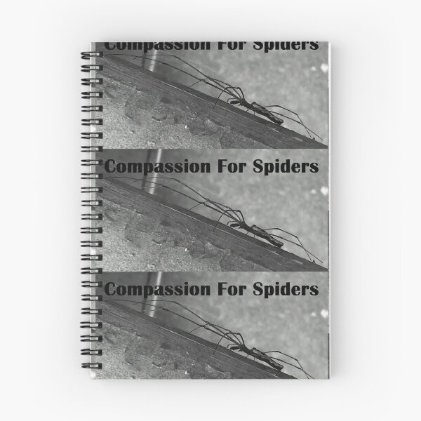 Aperçu de l'œuvre Mes amis Spider créée et vendue par SylviaSpider.