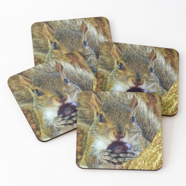 Item preview, Cute Squirrel #0020 designed and sold by Jeffrey Mask.