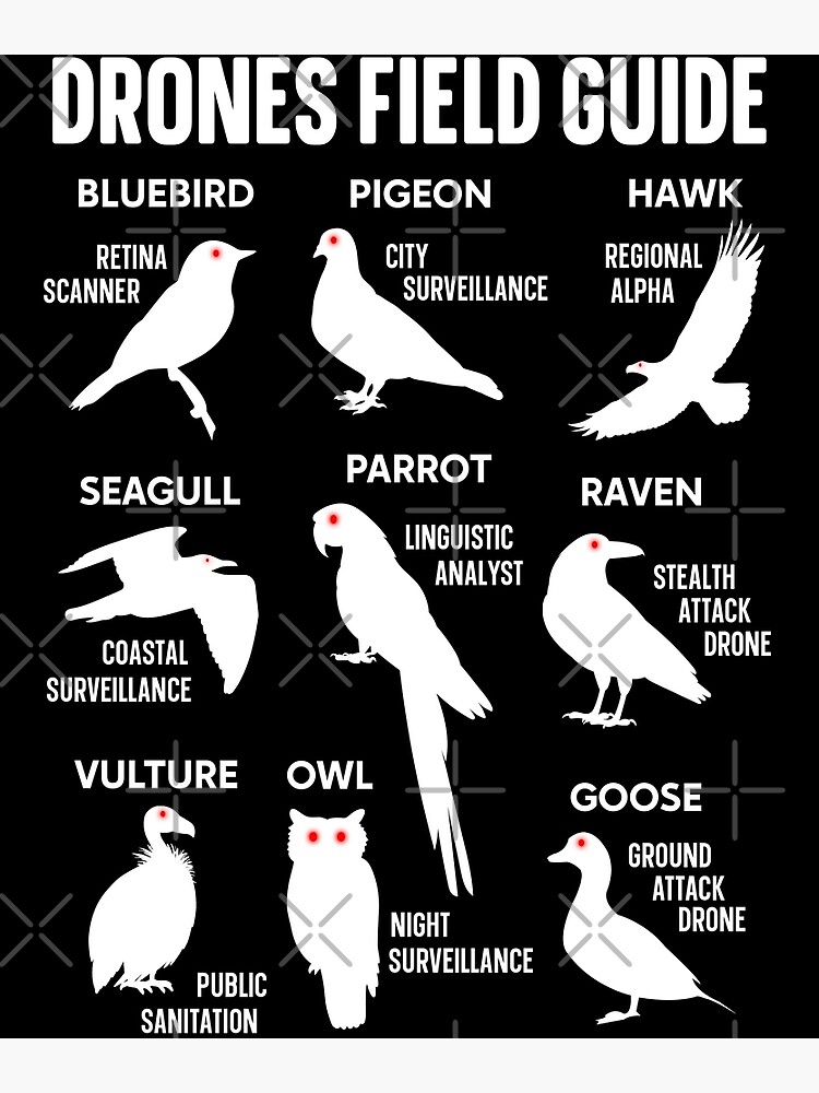 "Drones Field Guide Birds Aren't Real" Poster for Sale by