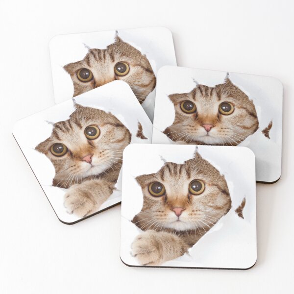 Item preview, meow pattern designed and sold by Janakiram Bammidi.